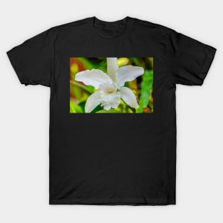 orchid T-Shirt